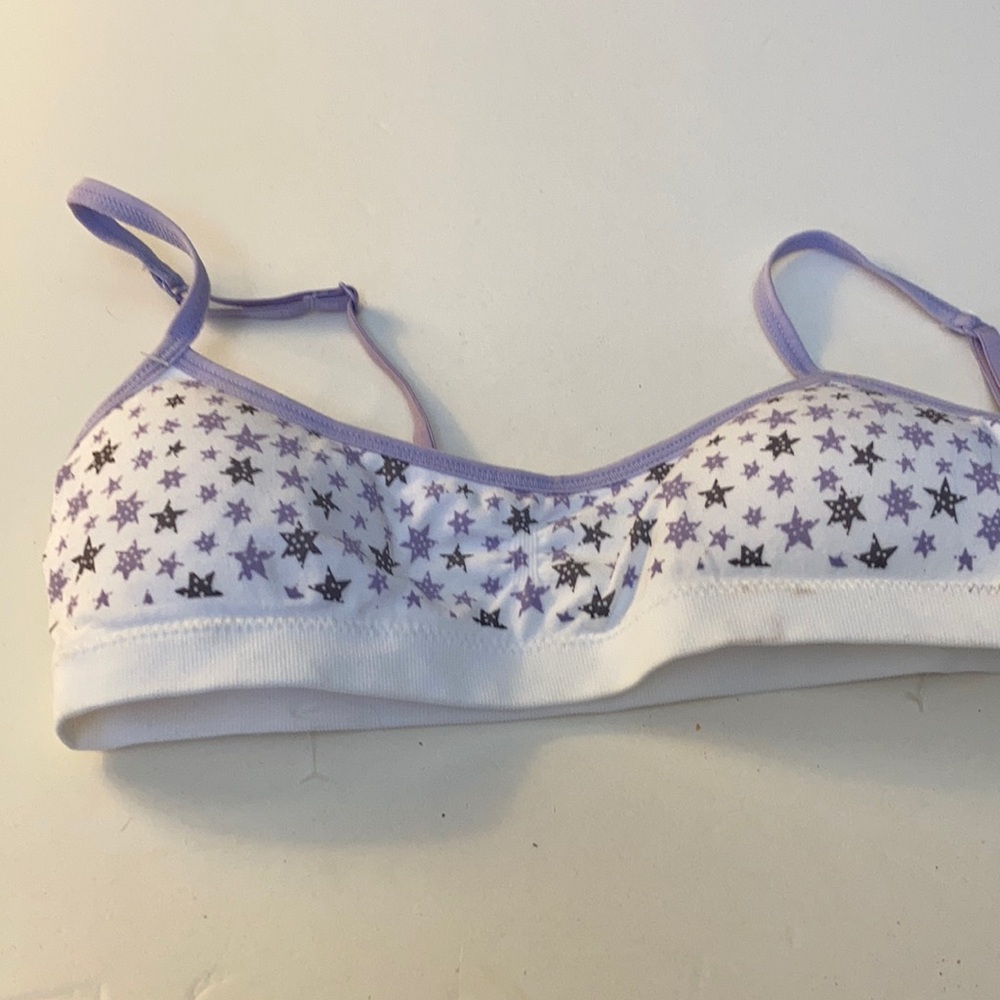 FINAL MARKDOWN Girls Hanes training bra medium